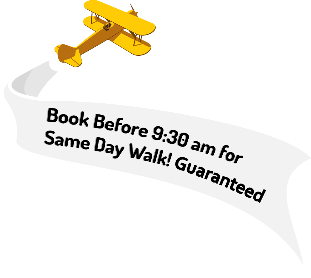 Book before 9:30am for same day dog walking and pet sitting